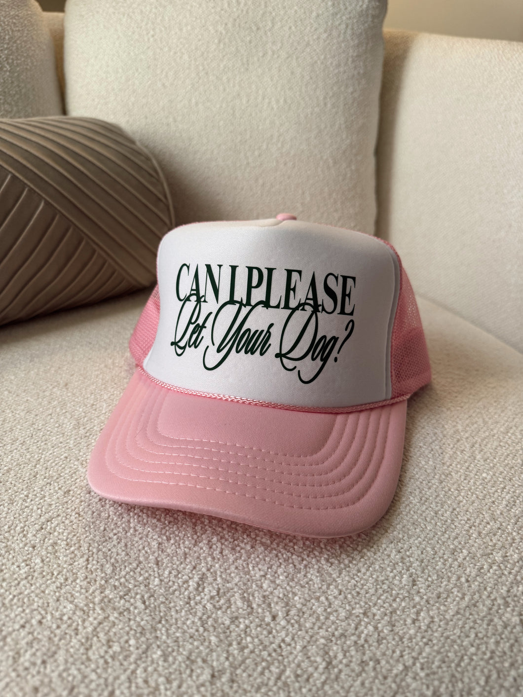 Can I Please Pet Your Dog Hat- Light Pink